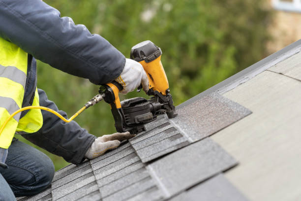 Best Roof Insulation Installation  in Wyoming, MN