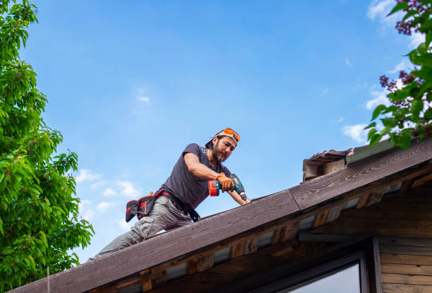Best Rubber Roofing (EPDM, TPO)  in Wyoming, MN