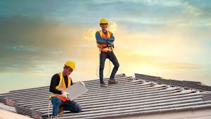 Best Roof Moss and Algae Removal  in Wyoming, MN